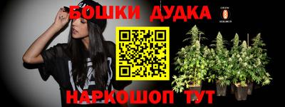 крисы Волжск